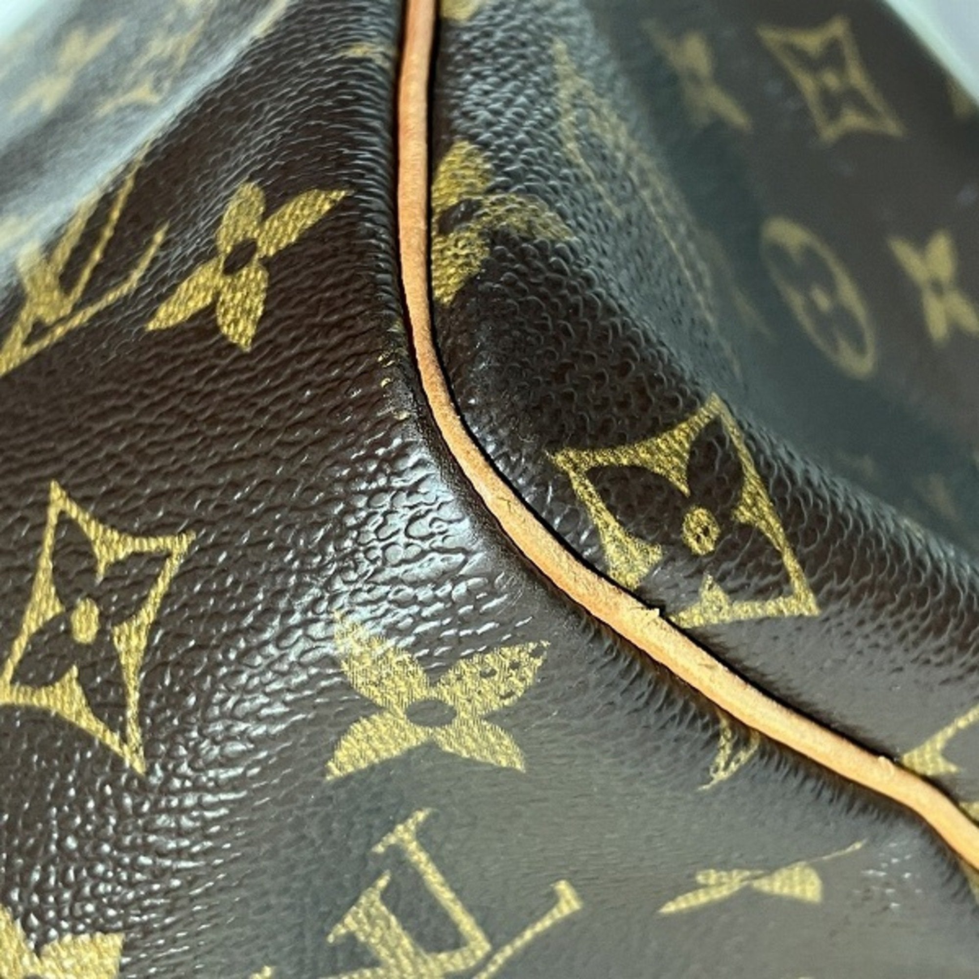 Louis Vuitton  Handbag