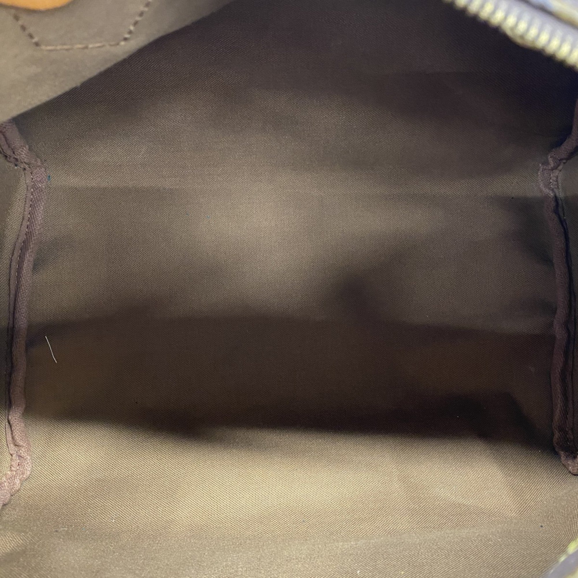 Louis Vuitton  Handbag