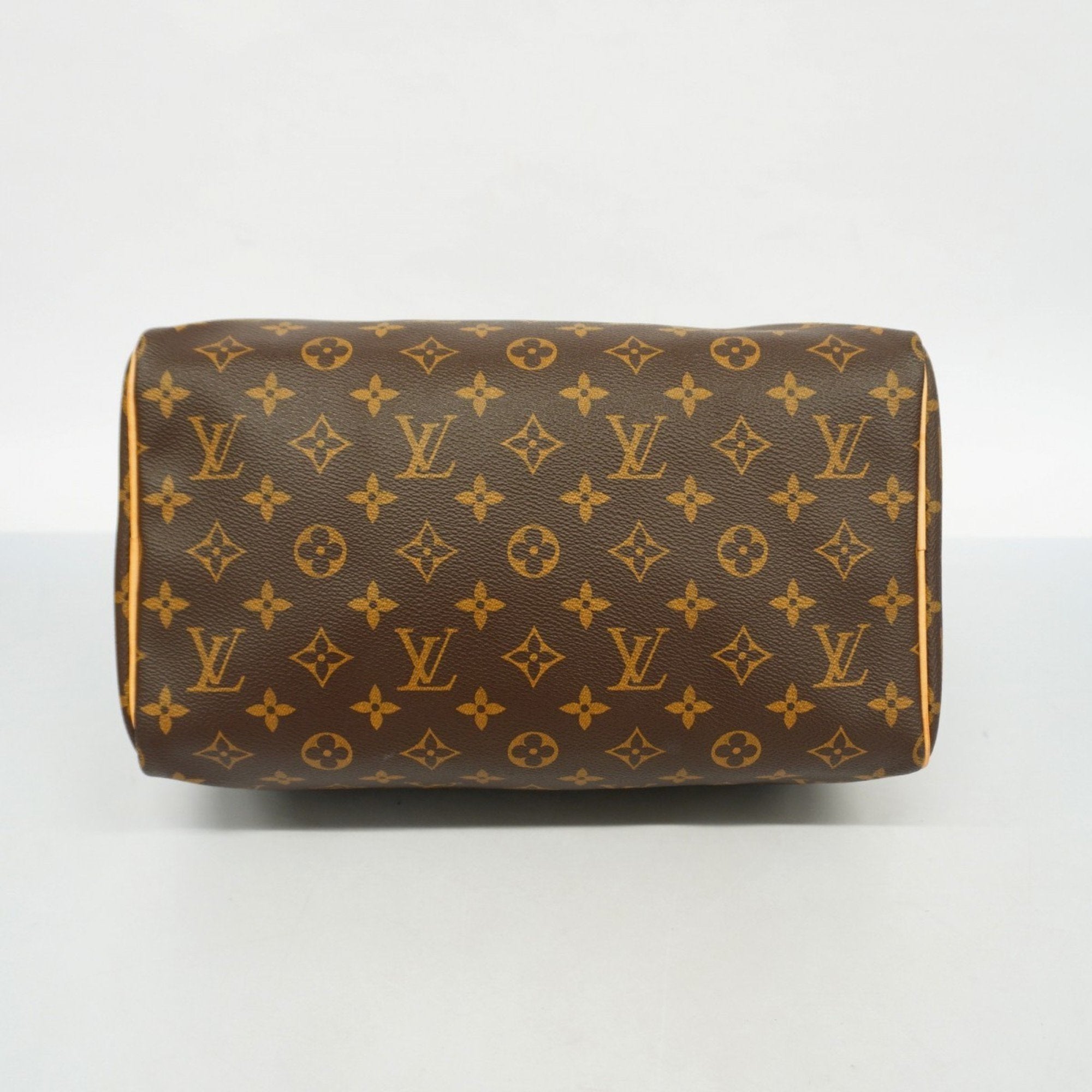 Louis Vuitton  Handbag