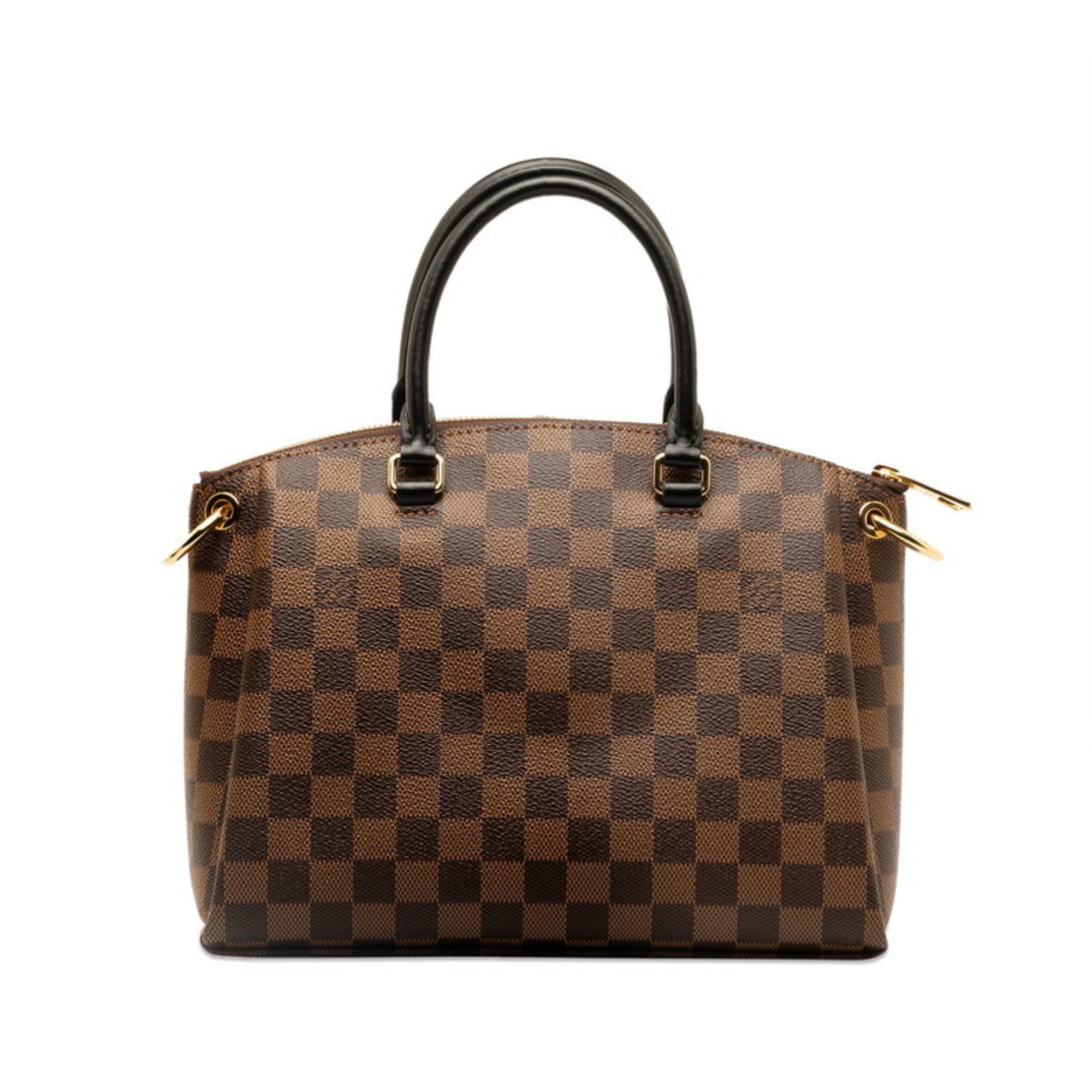Louis Vuitton  Pvc Leather Handbag Shoulder Bag