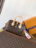 LV Handbag